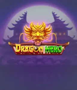Войдите в фантастическое приключение с игрой Dragon Hero от Pragmatic Play, освещающей яркую графику мощных драконов и героических битв. Откройте царство, где магия встречается с волнением, с символами вроде зачарованных оружий, мистических существ и сокровищ для триллерного приключения.
